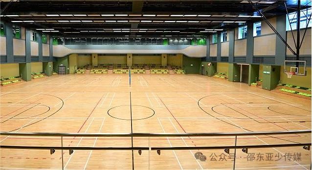 为什么智能指导能帮助提高篮球技能_2